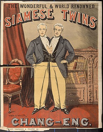 Poster for Chang and Eng Bunker, the Siamese Twins