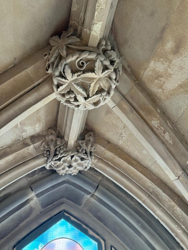 Come and see for yourself!